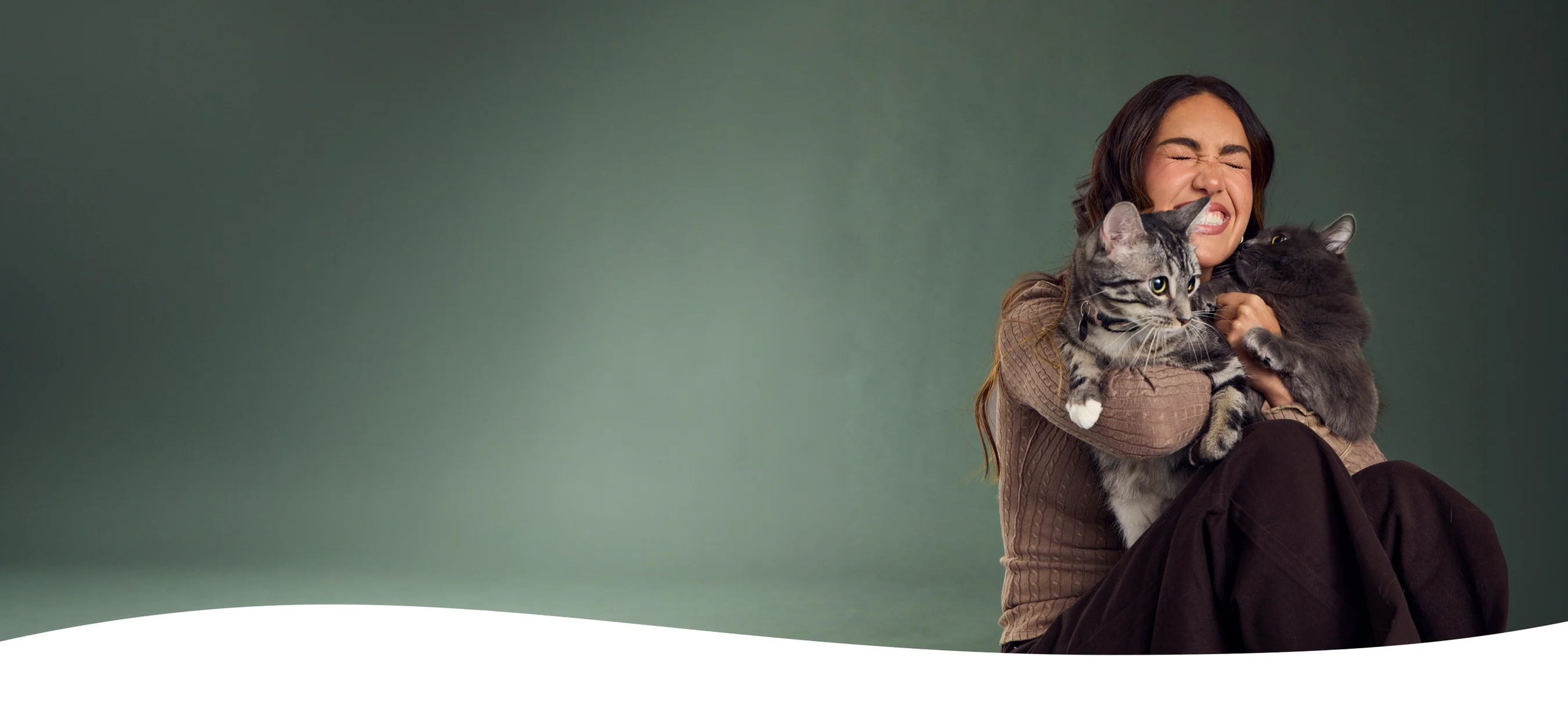 Upgrade Your Dog’s Daily Bowl